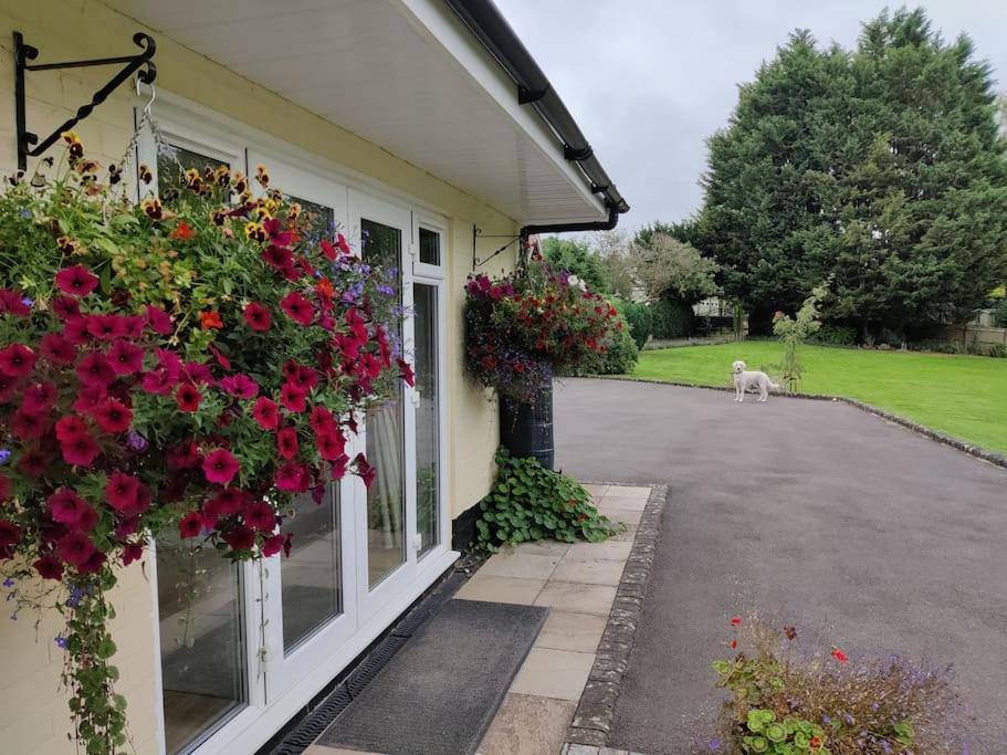 The Nook Located In A Beautiful Garden Setting With Parking Villa Stratford-upon-Avon Bagian luar foto